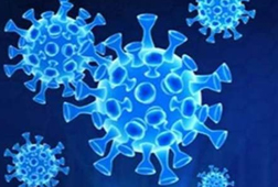 Coronavirus Update